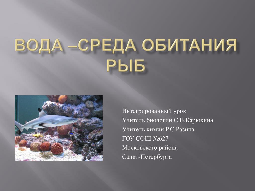 Биология теория и методика преподавания в образовательной организации 