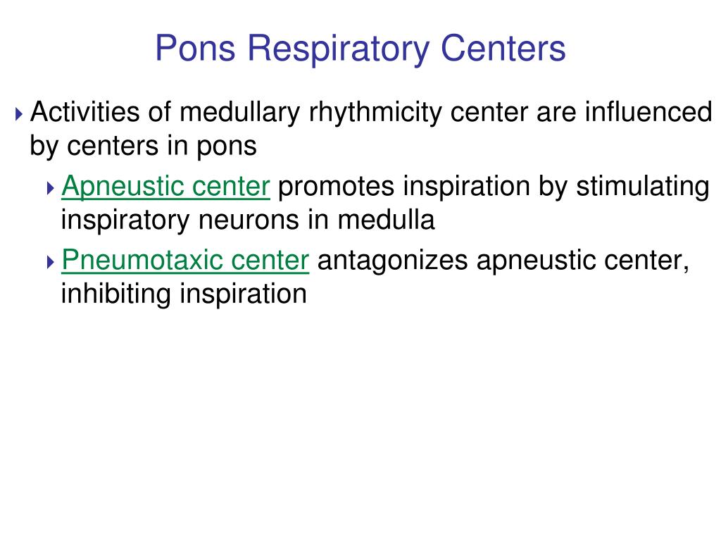 The pons contains the pneumotaxic and apneustic centers for medicare juniper networks work breakdown structure