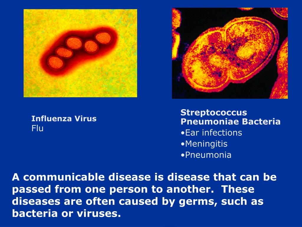 Тест стрептококк группы а. Streptococcus pneumoniae симптомы. Streptococcus pneumoniae (пневмококк). Стрептококки бактерии. Инфлюэнца вирус.