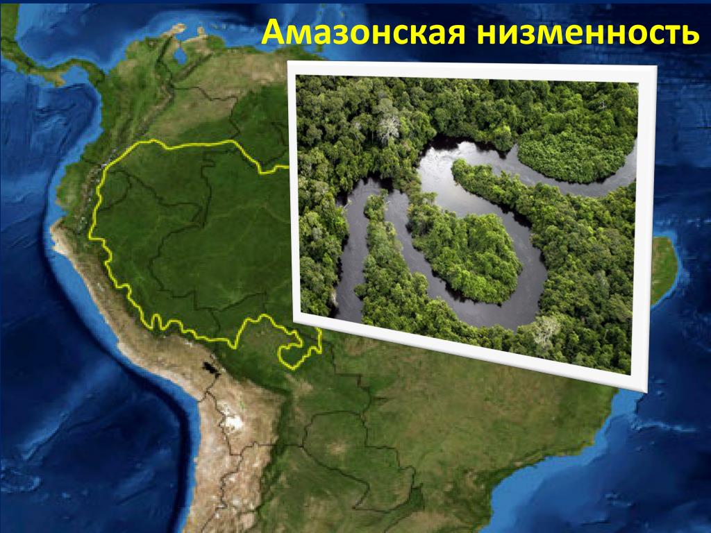 Какие крупные города находятся на амазонской низменности. Территория амазонской низменности. Южная Америка Амазонская низменность. Амазонская низменность на карте. Южная Америка равнины Амазонка.
