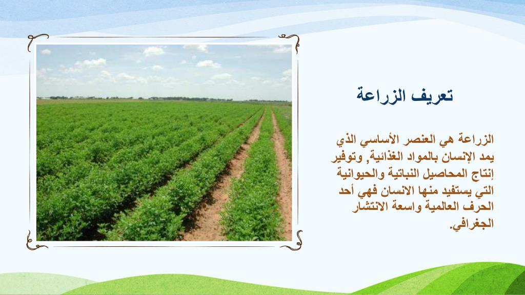 PPT - أنماط الزراعة في فلسطين PowerPoint Presentation - ID:6478565