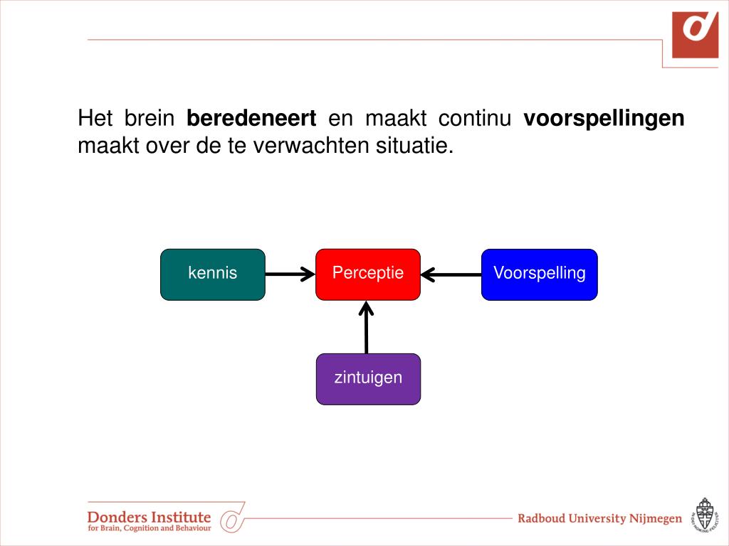 PPT Perceptie En Actie In Beweging PowerPoint Presentation Free 