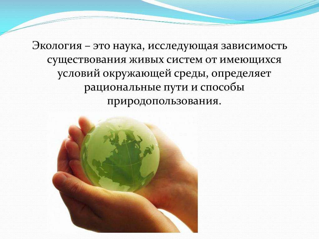 Законы экологии презентация