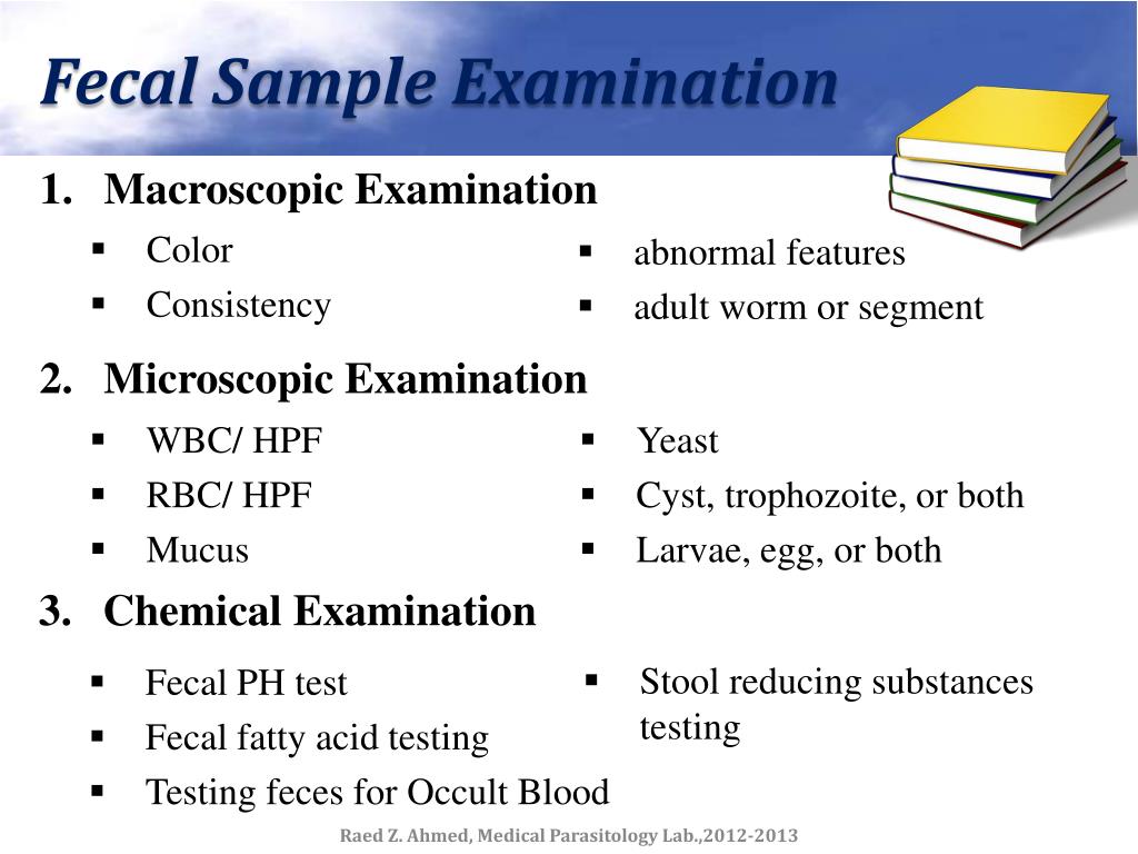 Sample exam. Stool Analysis. Stool Test. Medical Parasitology Test.