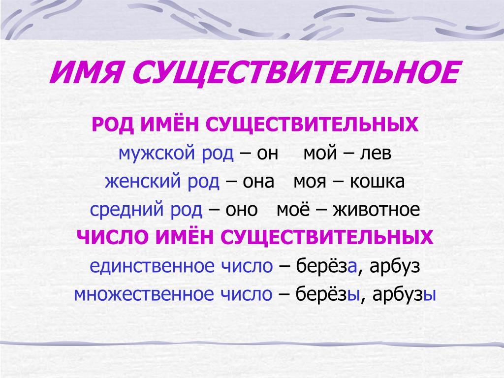 Школа мужской род. Имя существительныев русском языке. Имя существительное в русском языке. Правила имя существительное. Имя существительное правило.