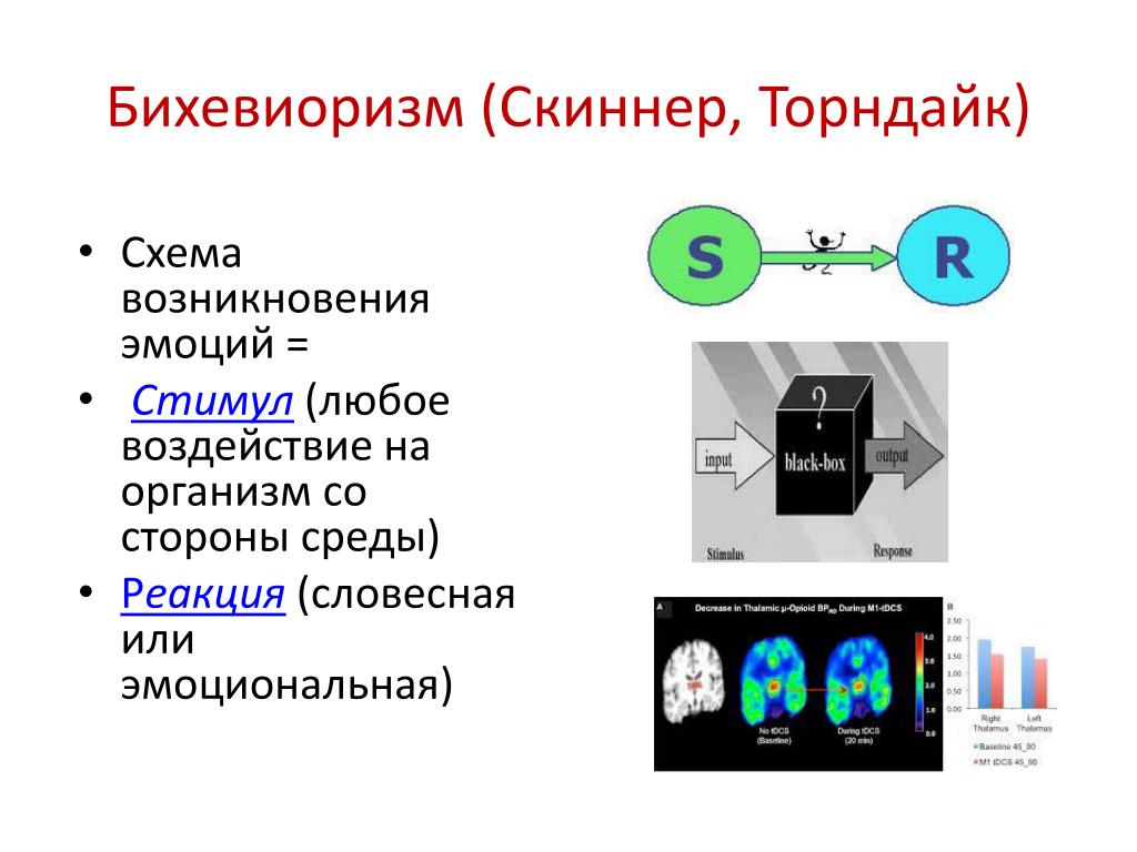 Б скиннер схема поведения