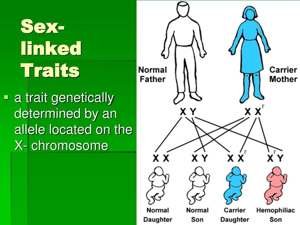 Ppt Topic D Heredity Powerpoint Presentation Free Download Id6489867 