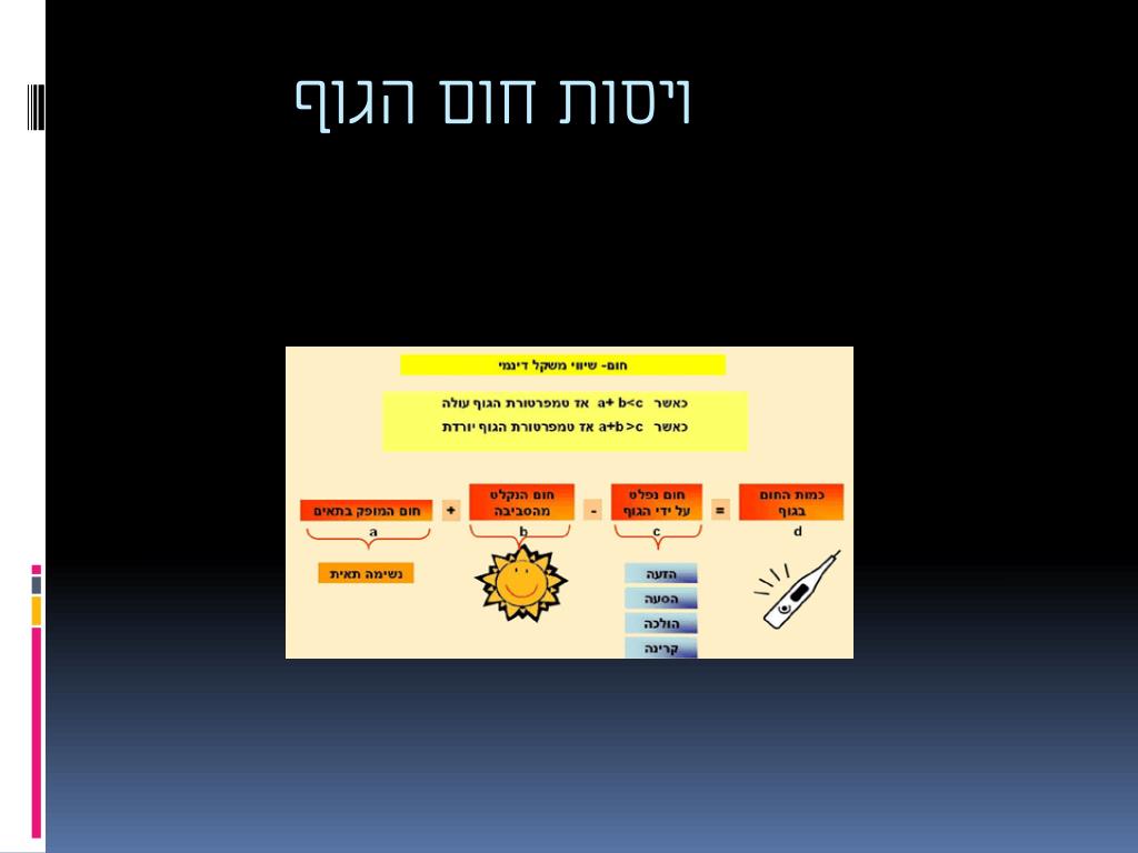 PPT - הומאוסטאזיס PowerPoint Presentation, free download - ID:6490008