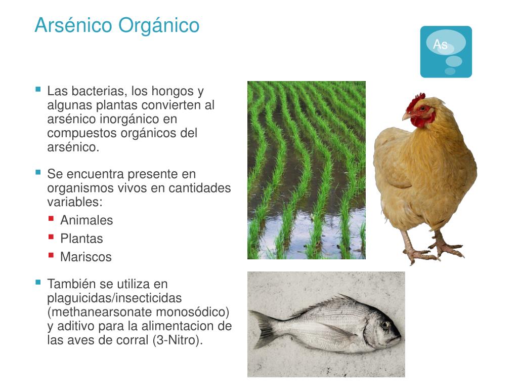 PPT - Arsénico PowerPoint Presentation, free download - ID:6490936