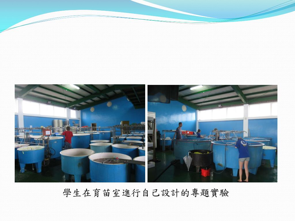 Ppt 國立澎湖科技大學水產養殖系powerpoint Presentation Id 6491796