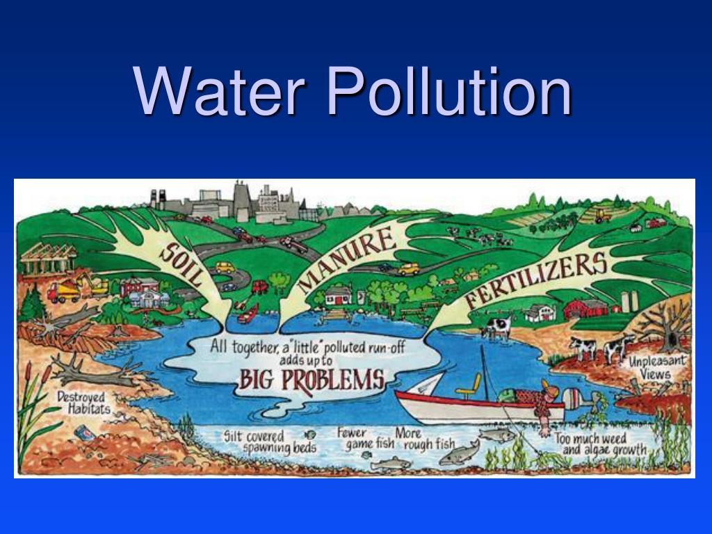 make a presentation about water pollution based on the diagram