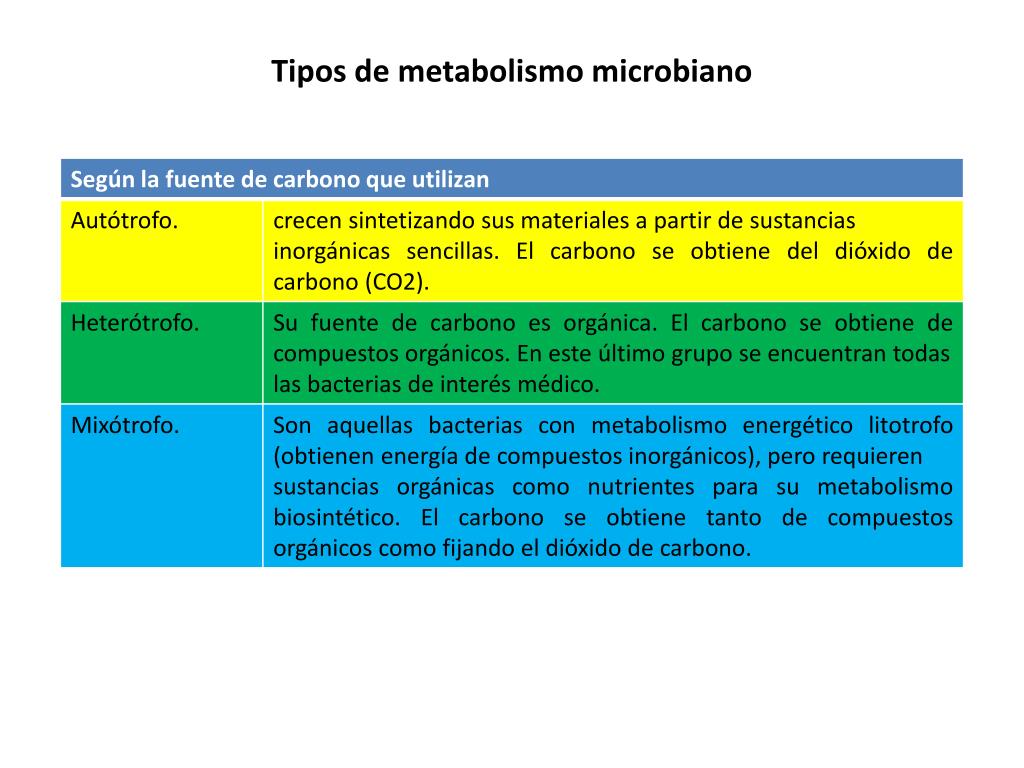 El metabolismo catabolismo y anabolismo