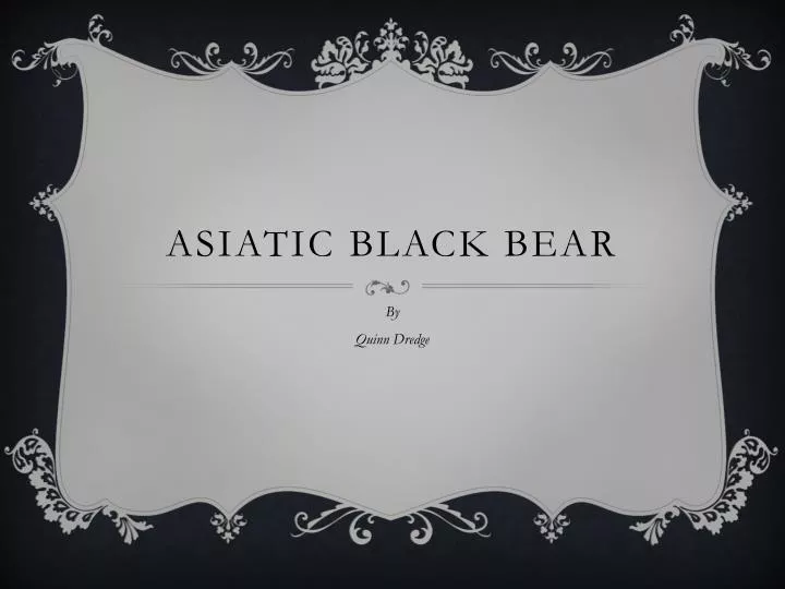 asiatic black bear n.