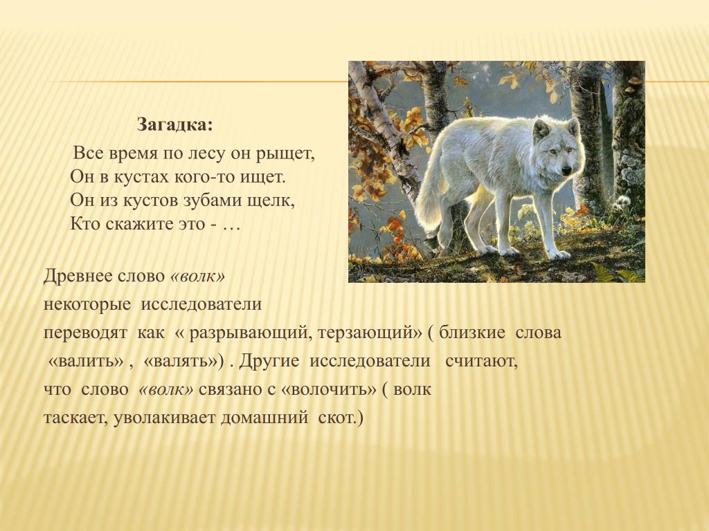 Текст волк и собака. Происхождение слова волк. Текст про волка. Слова волка. Проект про волка.