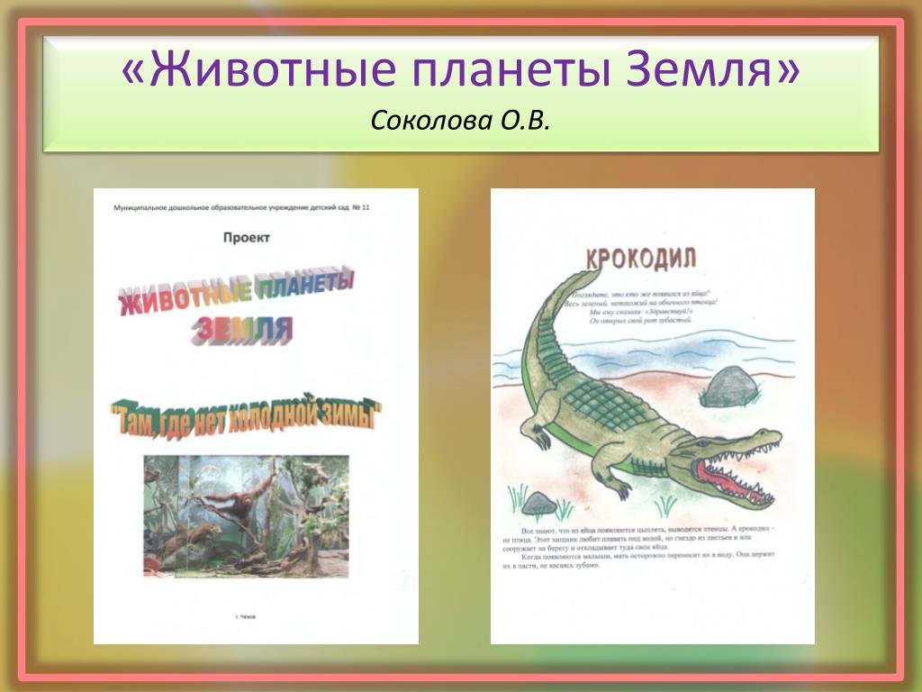 Математика в жизни животных - презентация, доклад, проект скачать