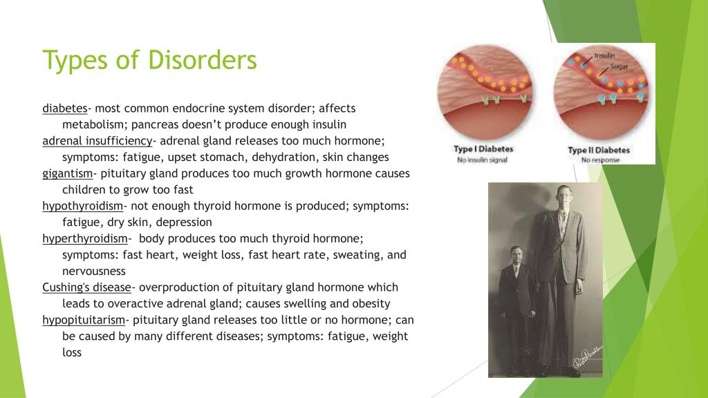 adrenaline disorders symptoms overactive adrenaline disorders symptoms overactive