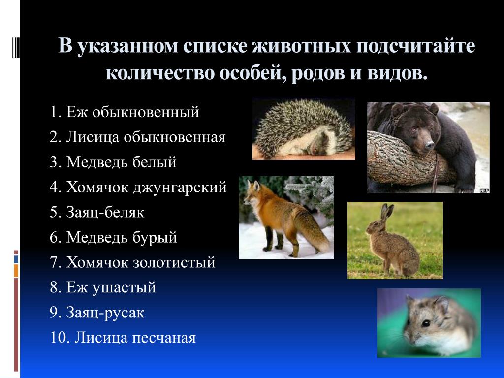 Лекарственное животное список. Животные список. Количество видов и родов животных лисица обыкновенная. Особь вид род.