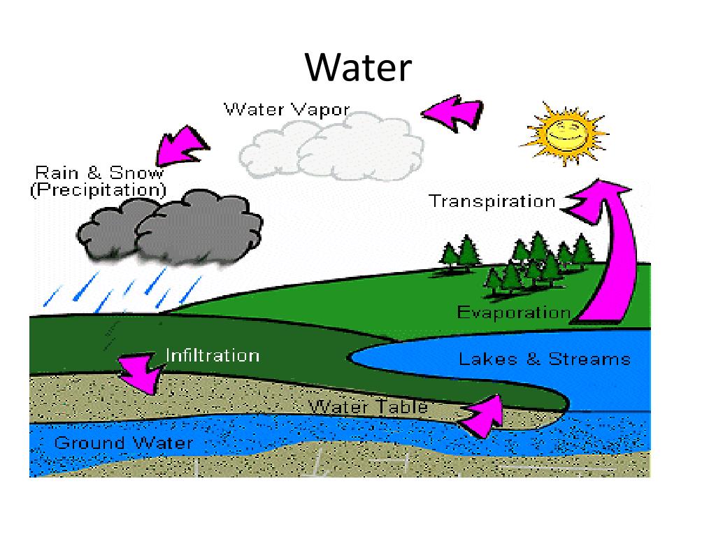 PPT - Ecology PowerPoint Presentation, free download - ID:6503058