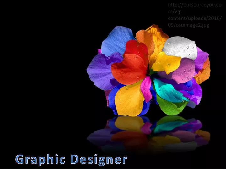 graphic designer n.