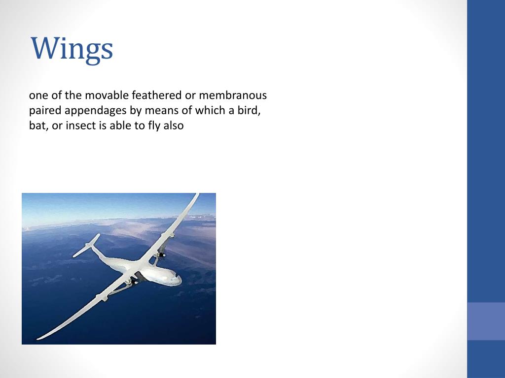 PPT FLIGHT VOCABULARY PowerPoint Presentation, free download ID6505996