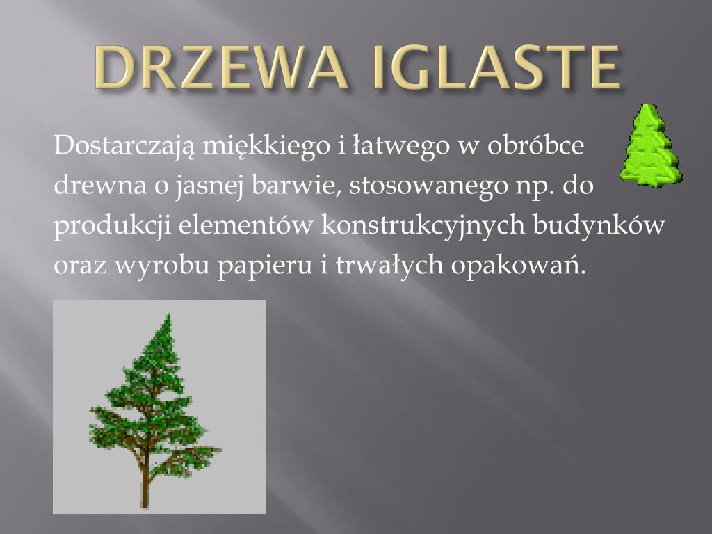 Karta Pracy Cenny Surowiec Drewno PPT - CENNY SUROWIEC PowerPoint Presentation, free download - ID:6508030