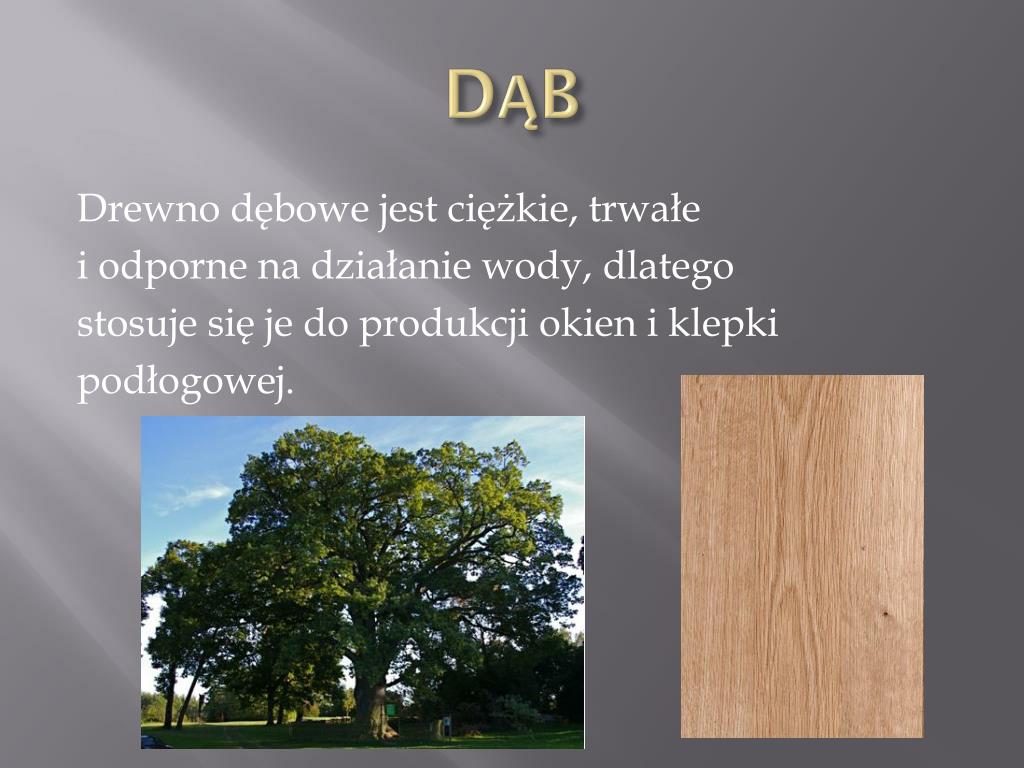 Karta Pracy Cenny Surowiec Drewno PPT - CENNY SUROWIEC PowerPoint Presentation, free download - ID:6508030