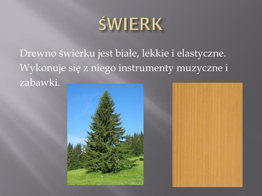 Karta Pracy Cenny Surowiec Drewno PPT - CENNY SUROWIEC PowerPoint Presentation, free download - ID:6508030