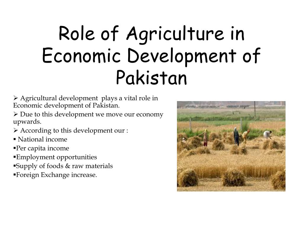 Horticulture in pakistan ppt