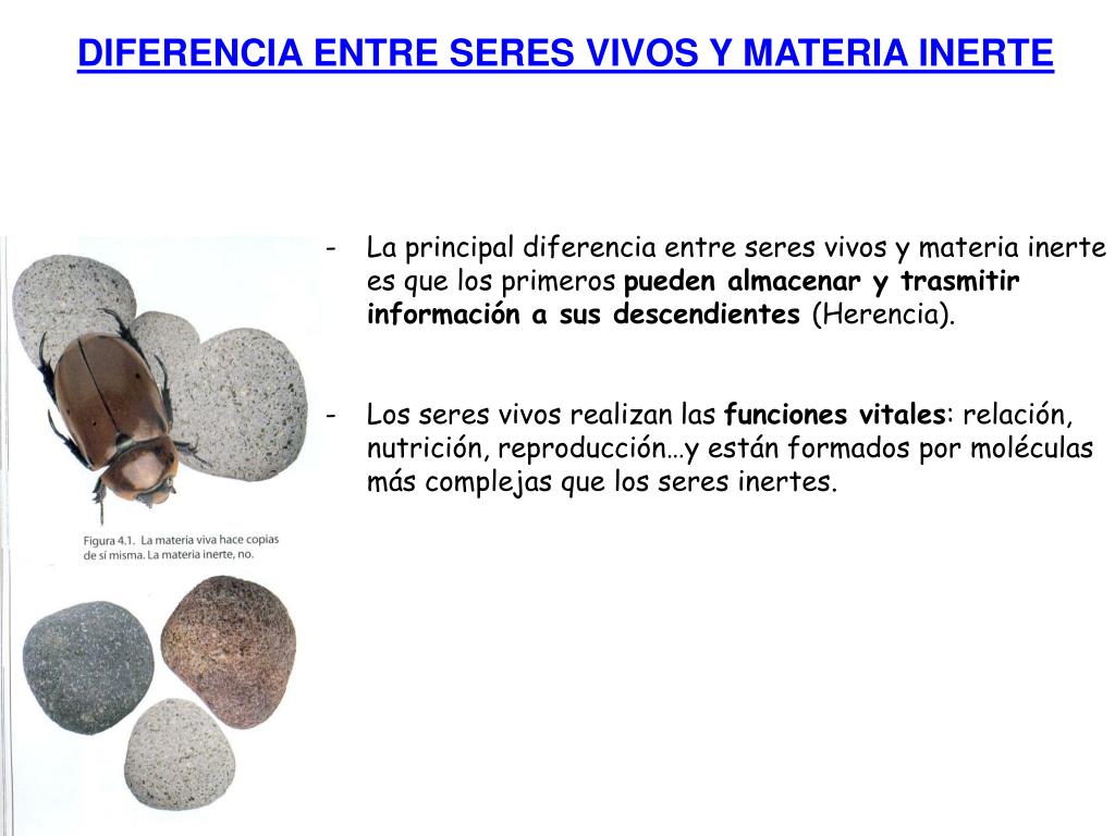 PPT - TEMA 4 LA REVOLUCIÓN GENÉTICA LA BIOTECNOLOGÍA PowerPoint ...