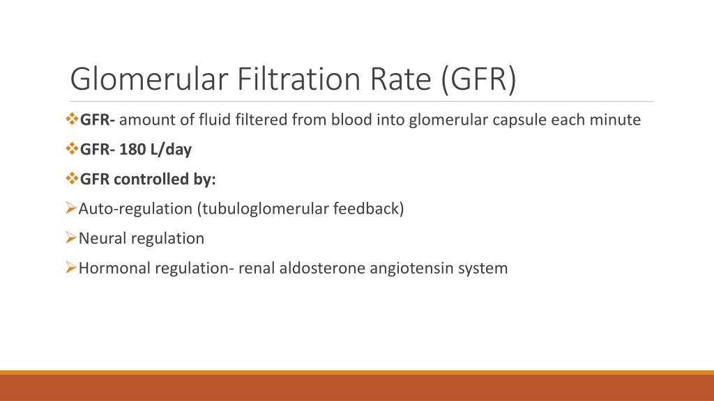 PPT - Introduction to Nephrology PowerPoint Presentation, free download ...