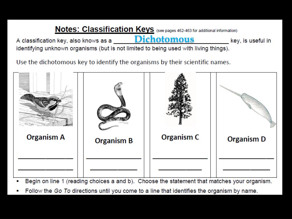 Ppt Classification Powerpoint Presentation Free Download Id6511454 0936