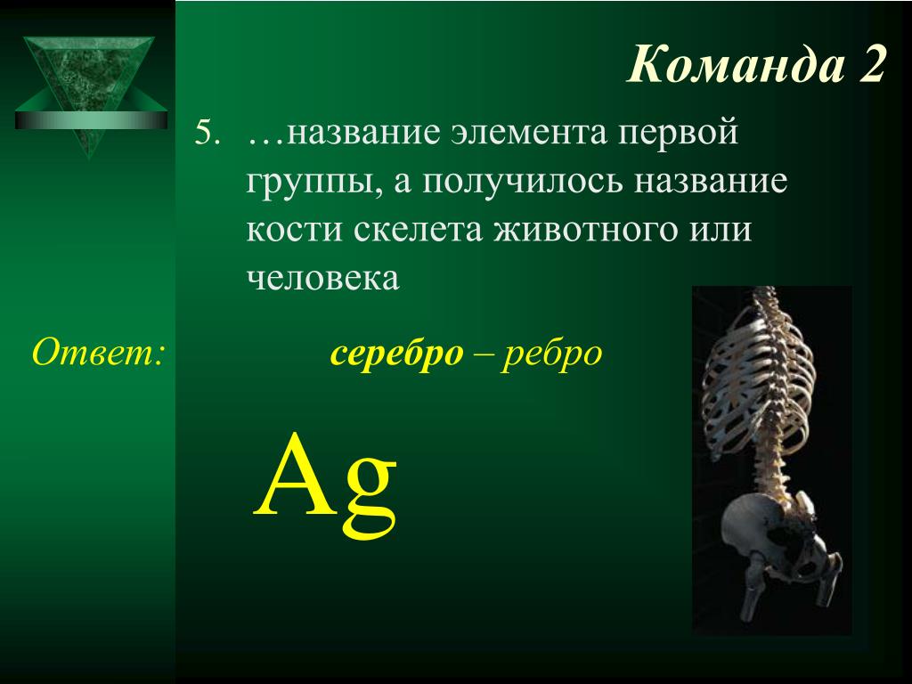 Химические элементы названия скелета животного и. Каламбуры про кости и скелетов. В названии какого хим элемента часть слова это кость скелета. Почему костю назвали костей