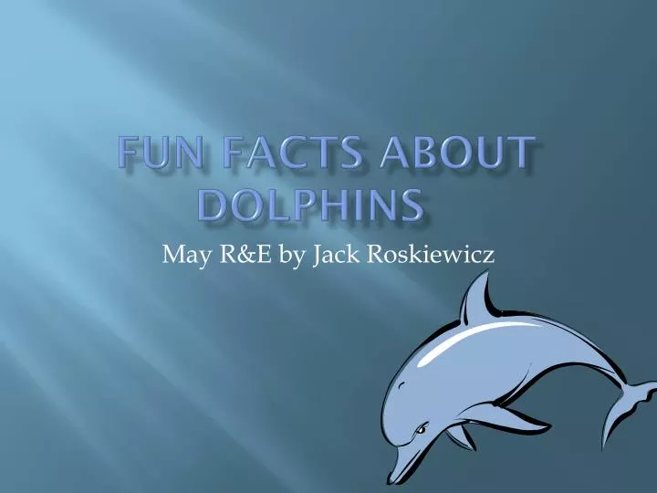 PPT - Fun Facts about Dolphins PowerPoint Presentation ...