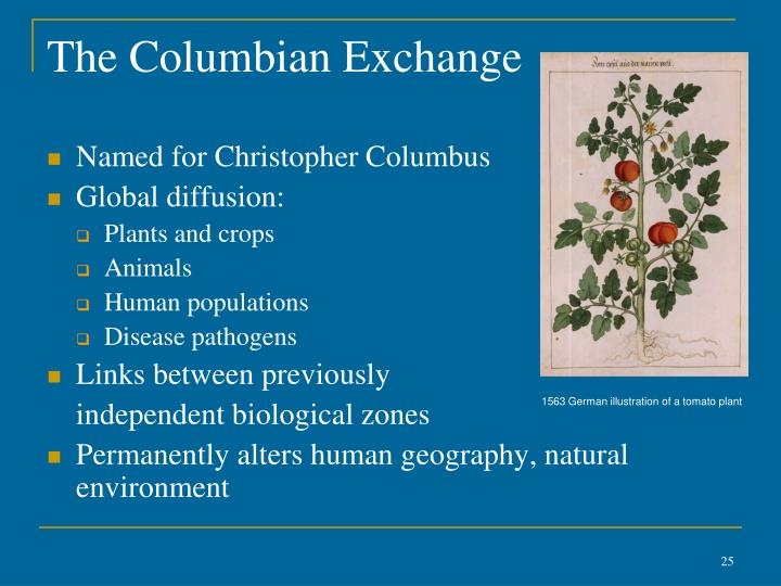 the columbian exchange alludes to the Columbian exchange dbq how did culture in the americas change as a result of exploration what were the consequences of the columbian exchange. the columbian exchange alludes to the Columbian exchange dbq how did culture in the americas change as a result of exploration what were the consequences of the columbian exchange.