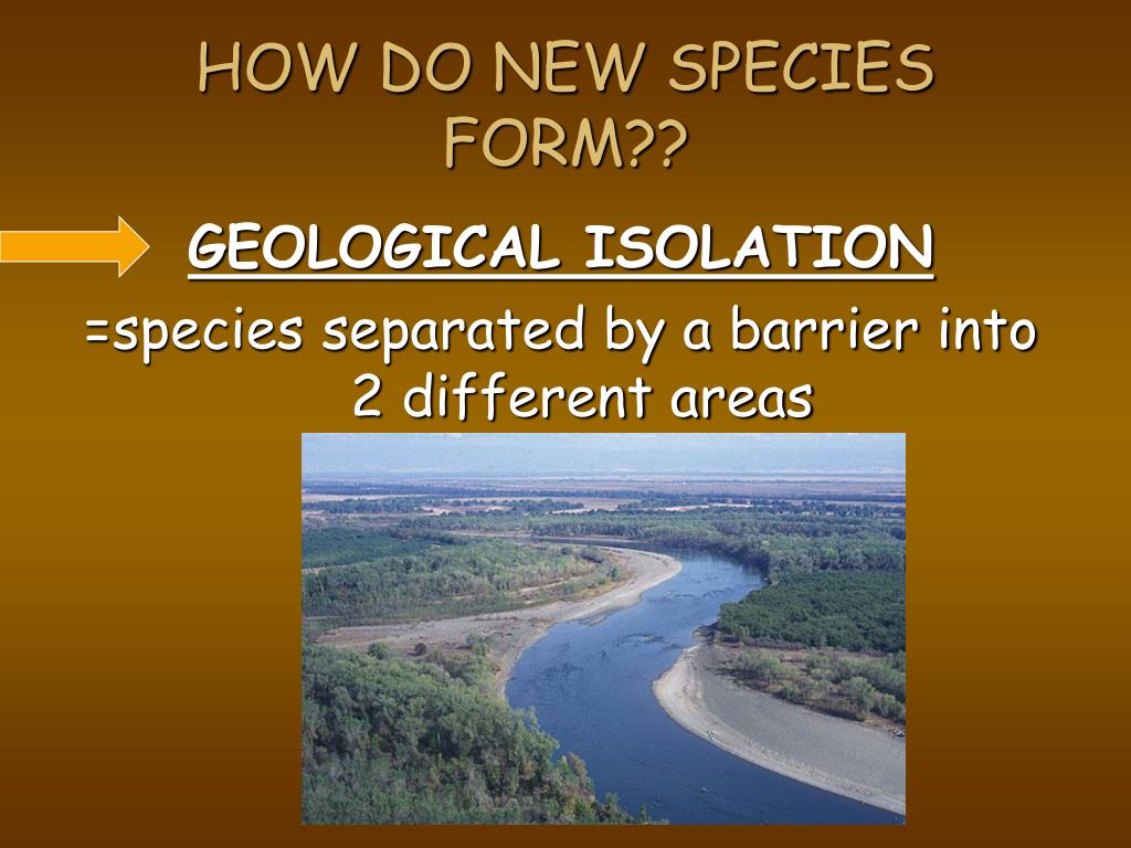 PPT FUN FACT How long does evolution take? PowerPoint Presentation, free download ID6513682