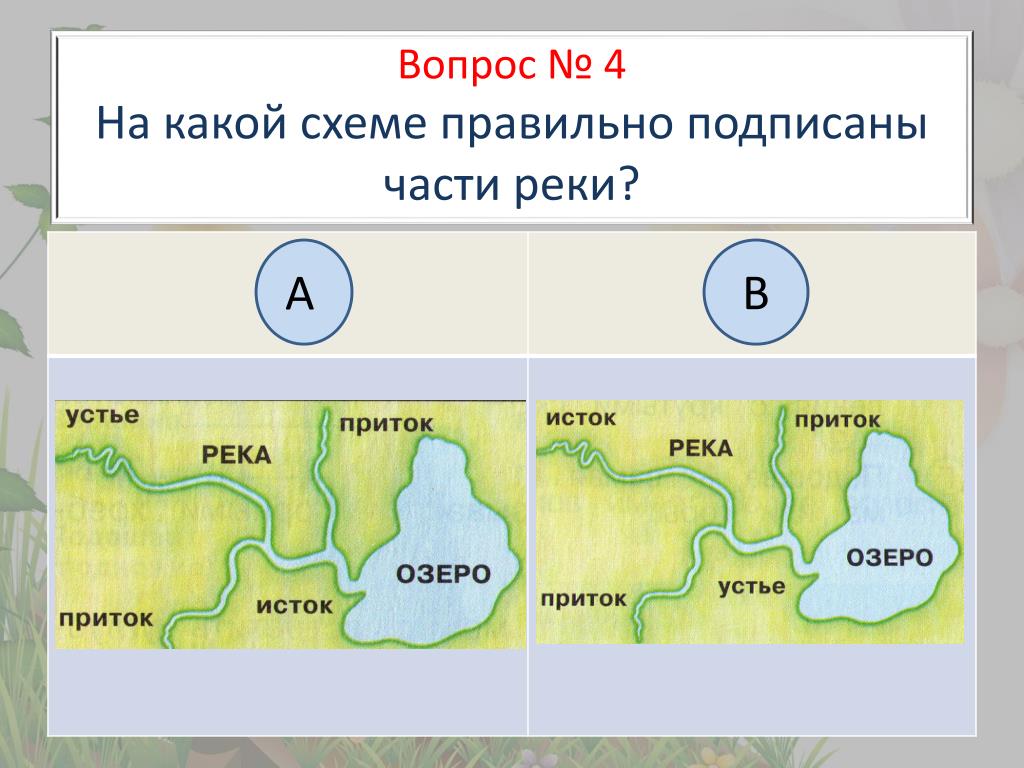 Рисунок части реки 2 класс окружающий мир