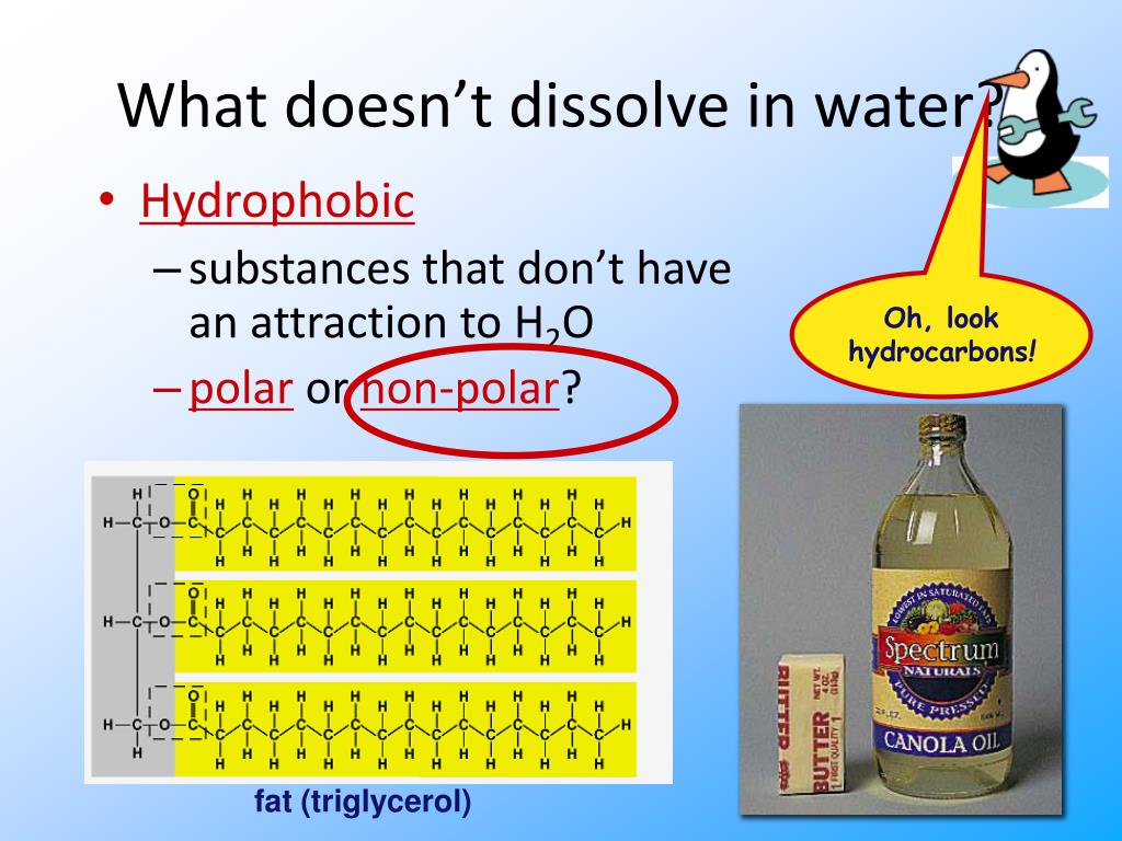 PPT Water Water Everywhere Ch 3 PowerPoint Presentation Free 