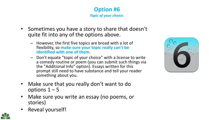 common application personal essay option 1 5 tips for essay option 1 of the pre-2013 common application: evaluate a significant experience, achievement, risk you have taken, or ethical dilemma. common application personal essay option 1 5 tips for essay option 1 of the pre-2013 common application: evaluate a significant experience, achievement, risk you have taken, or ethical dilemma.
