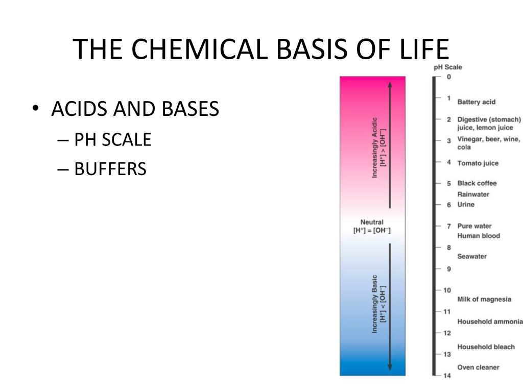 PPT - THE CHEMICAL BASIS OF LIFE PowerPoint Presentation, Free Download ...