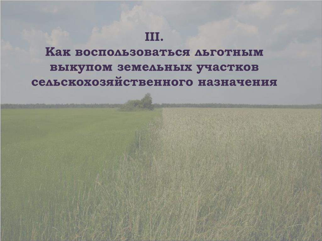 Купля Продажа Сельскохозяйственных Земель