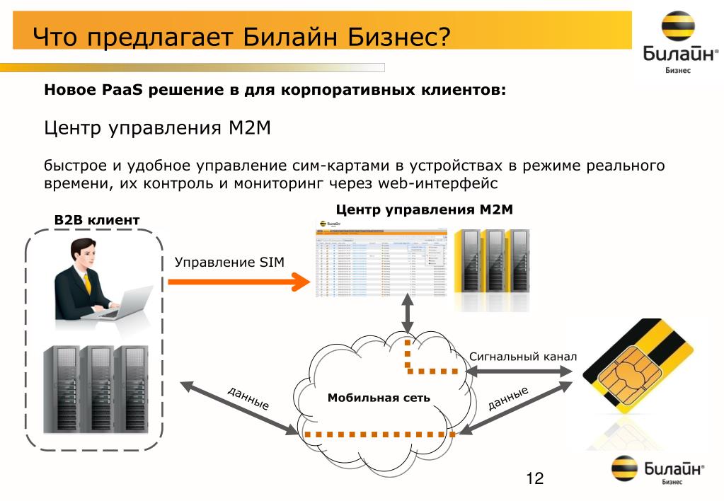 Что такое корпоративная сим карта билайн