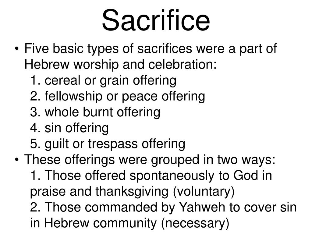 different types of sacrifices essay