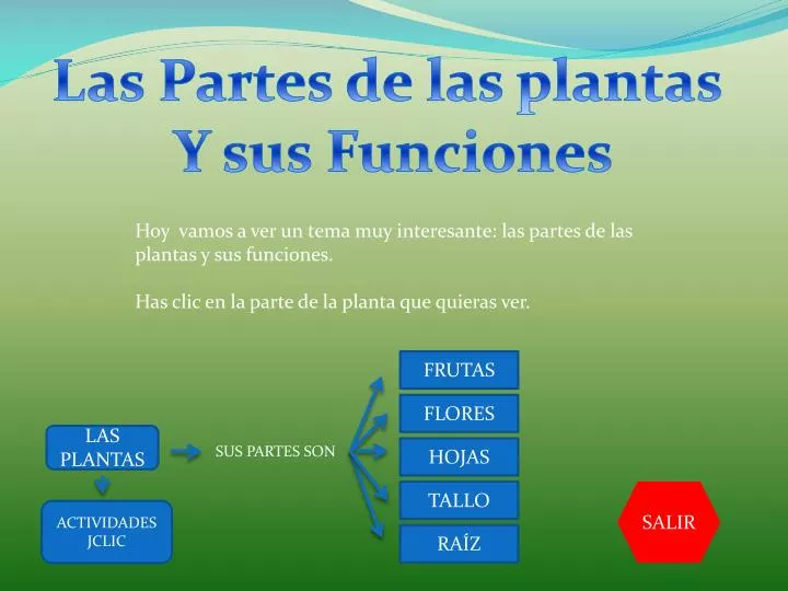 PPT - Las Partes de las plantas Y sus Funciones PowerPoint Presentation -  ID:6516769