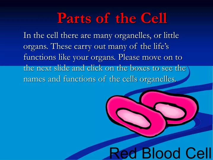 Plant Cell Parts And Functions Powerpoint - PPT - Unit 2: Part 1 Cell structure and function Membrane ... / We did not find results for: