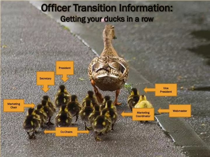 PPT - Officer Transition Information: Getting your ducks in a row