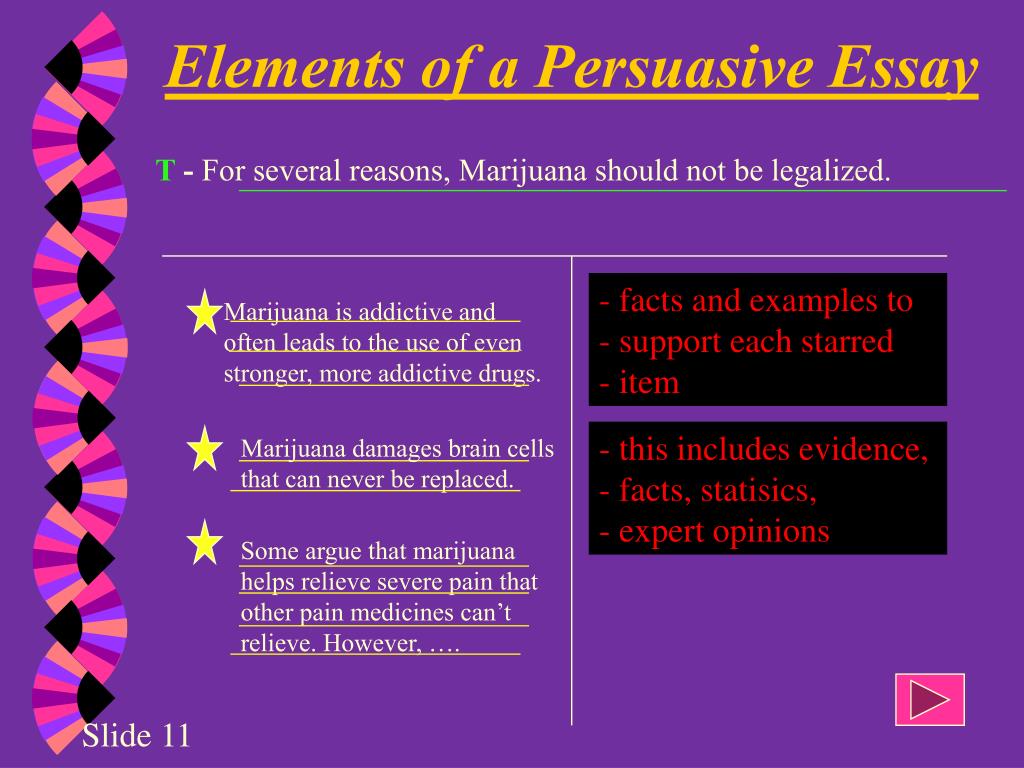 what are the elements of a persuasive essay