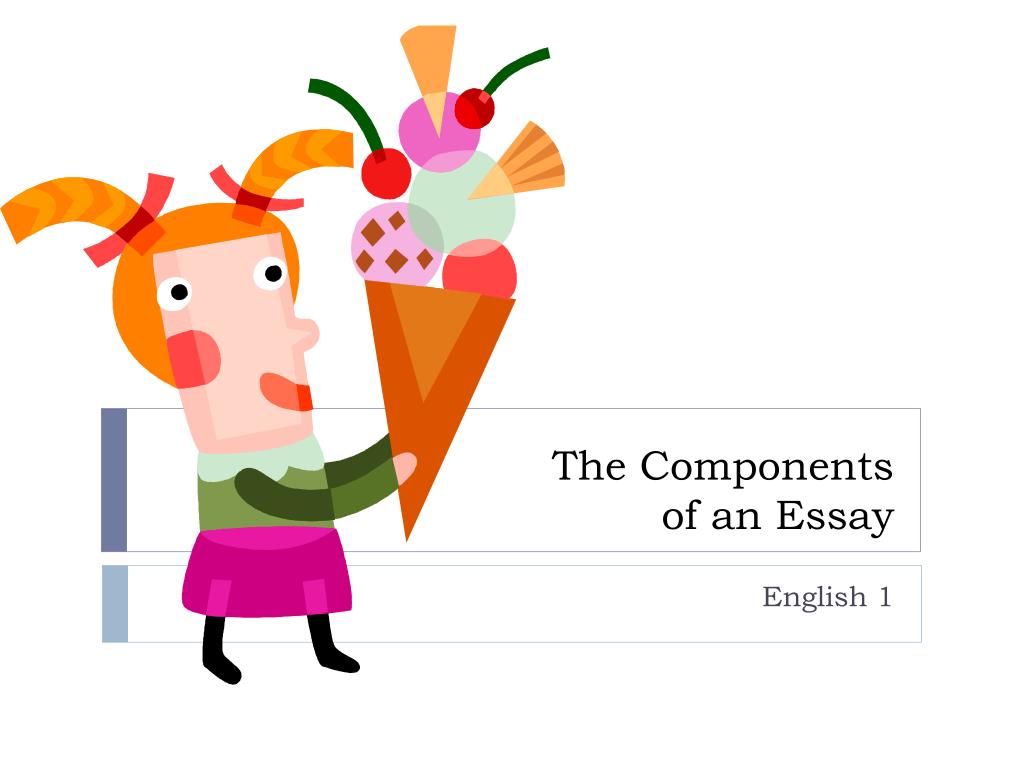 essay about components