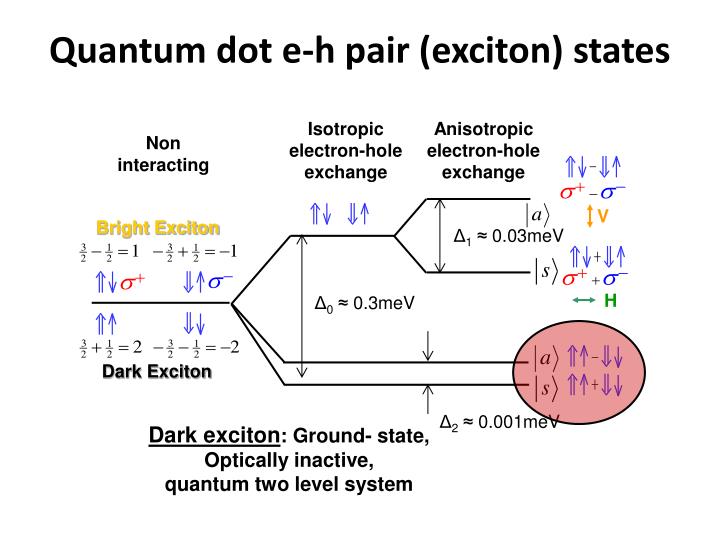 PPT - One to One Mapping of Light Polarization into Quantum Dot Exciton ...