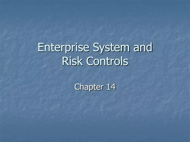 enterprise system and risk controls n.