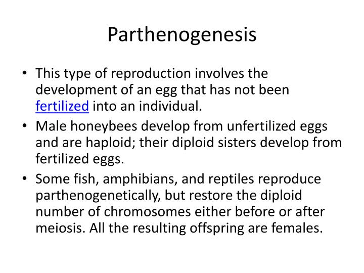 PPT - Animal Reproduction PowerPoint Presentation - ID:6520215